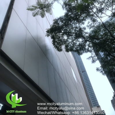 revestido de pó Painel não-padrão de alumínio perfurado metálico utilizado para edifícios exteriores