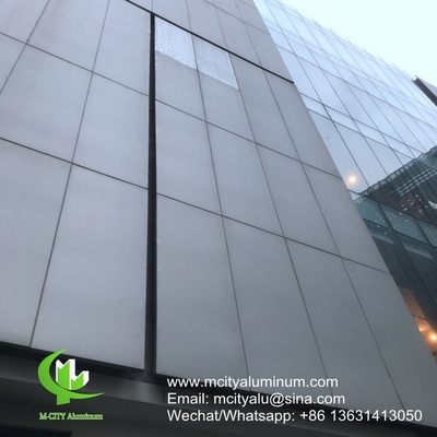 revestido de pó Painel não-padrão de alumínio perfurado metálico utilizado para edifícios exteriores